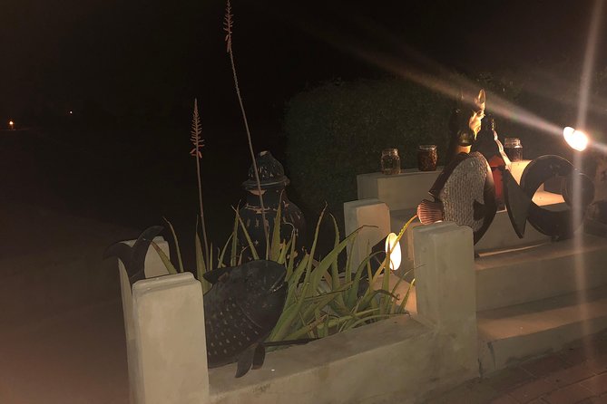 Private Desert Safari with Premium camp - Sunset photographs in the open desert