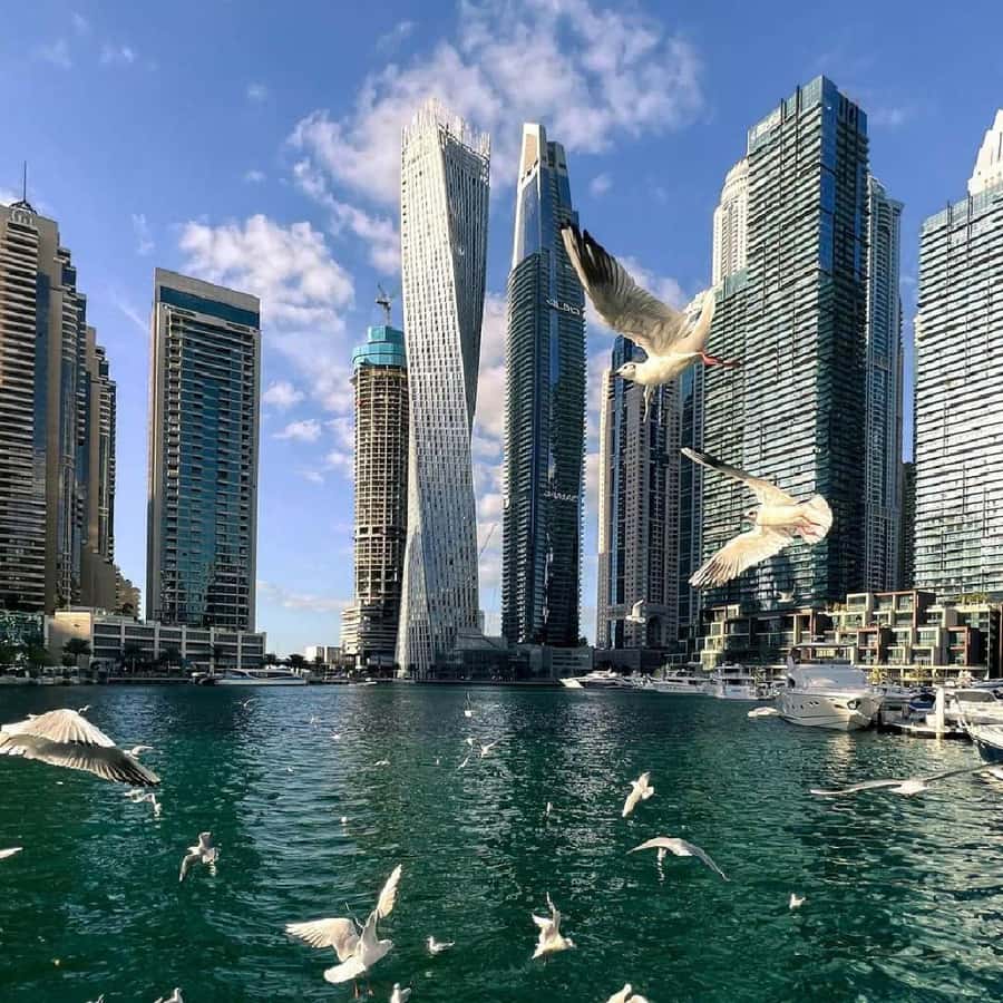 Private Dubai CityTour with Miracle Garden or Global Village - Al Fahidi and Al Seef: Dubai Before the Towers