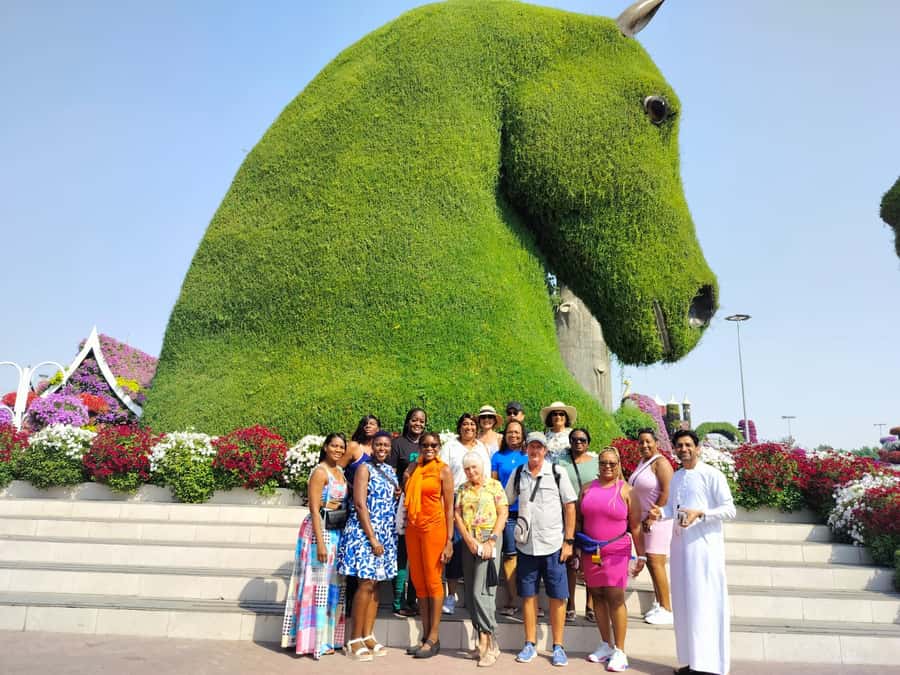 Private Dubai Frame & Miracle Garden Trip with Transfer - Miracle Garden: flowers on a grand scale