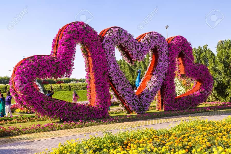 Private Dubai Frame & Miracle Garden Trip with Transfer - How much freedom do you really get?