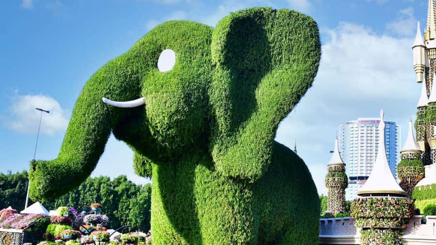 Private Dubai Frame & Miracle Garden Trip with Transfer - What the $105 price includes