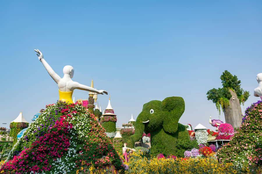 Private Dubai Frame & Miracle Garden Trip with Transfer - Who will get the most from this outing?