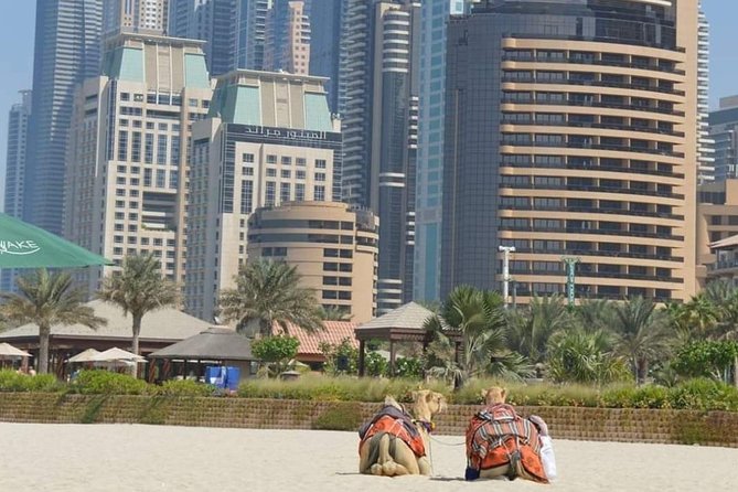 Private : Dubai Full Day City Sightseeing Tour - Jumeirah Mosque and the Museum of the Future