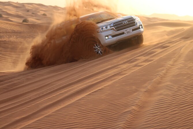 Private Evening Desert Safari Dubai with Camel Riding & BBQ - What the red-dune drive is really like