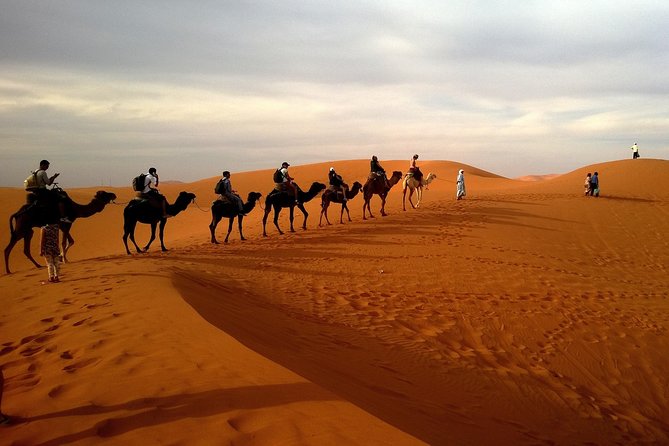 Private Evening Desert Safari with BBQ dinner - Key points to know before booking