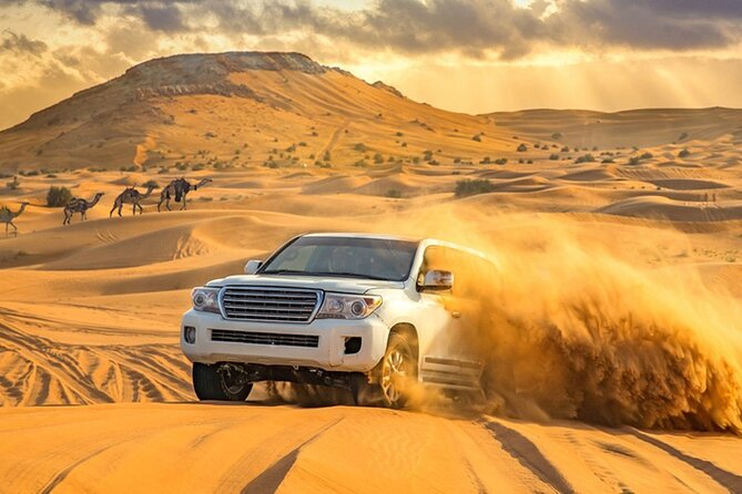 Private Evening Desert Safari with BBQ Dinner Dubai - Sunset and the short camel ride