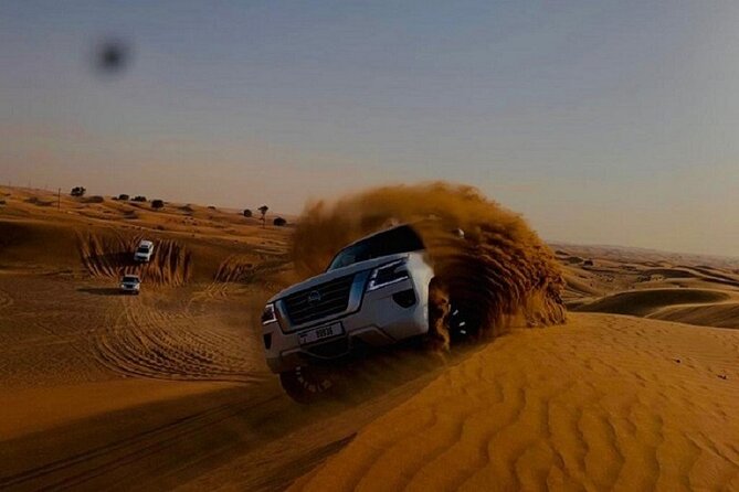 Private Evening Red Sand Desert Safari with BBQ Dinner - BBQ dinner with vegetarian choices