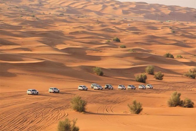 Private Evening Thriller Desert Safari & BBQ Dinner - The red dunes and 35 to 40 minutes of dune bashing