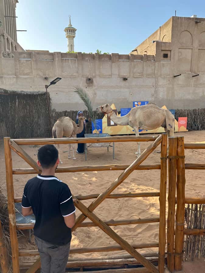 Private Food Tour – 12 Tastings with Locals - Meeting at Al Ras Metro Station