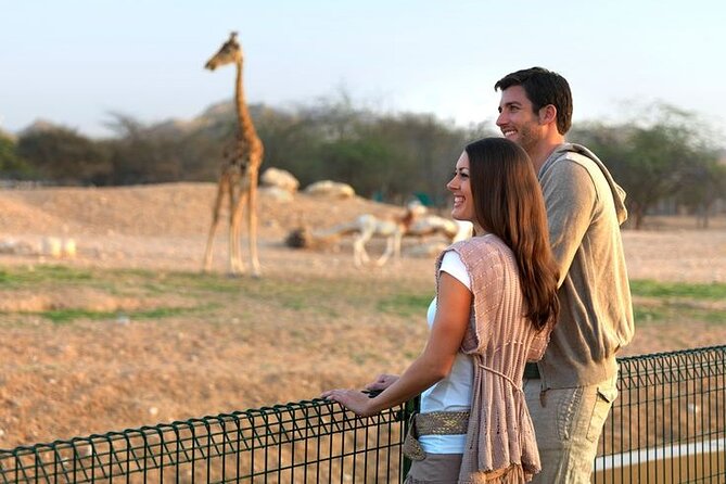 Private Garden City Tour with Zoo Ticket at Al Ain - Al Jahili Fort: mud brick and modern restoration