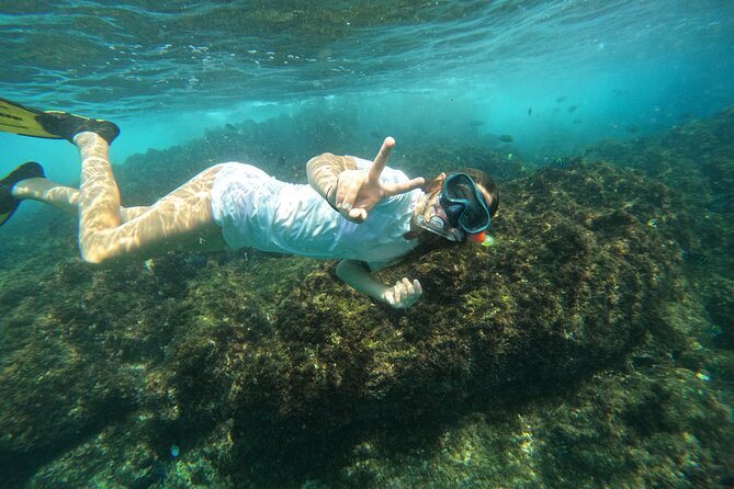 Private Snorkeling with turtles with BBQ food - A simple BBQ and drinks on a two-hour trip