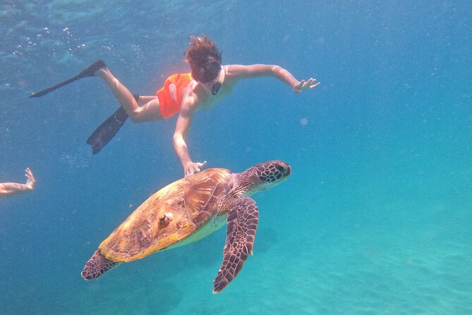 Private Snorkeling with turtles with BBQ food - Who will enjoy this most?
