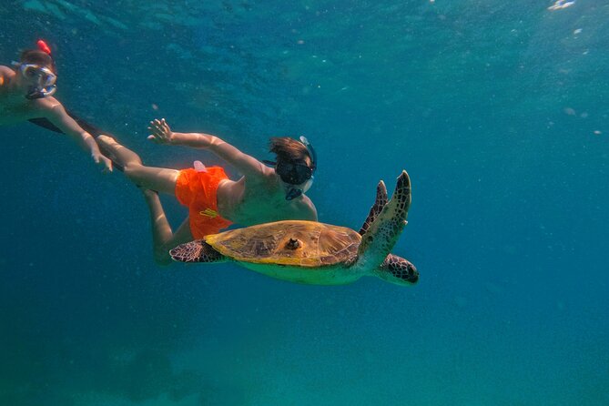 Private Snorkeling with turtles with BBQ food - Getting ready with gear and a guide