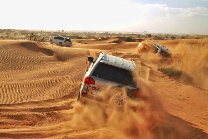 RAK Desert Safari and BBQ Dinner with RAK pick up - Quick points to know