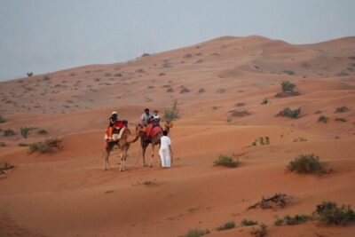 RAK Desert Safari and BBQ Dinner with RAK pick up