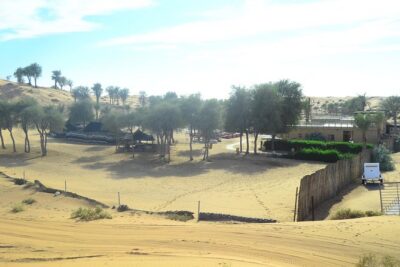 Afternoon Desert Safari and BBQ Dinner