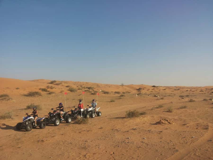 Ras Al Khaimah: Guided Quad Bike Tour - Sandboarding at the oasis