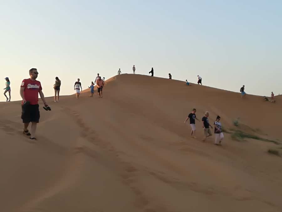 Ras Al Khaimah: Half-Day Desert Safari with Dinner - Key points to know before booking