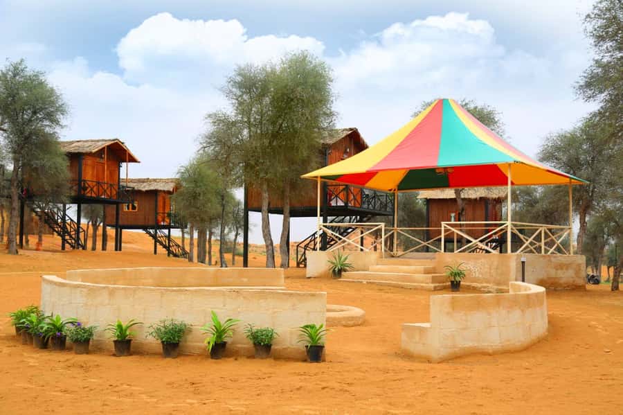 Ras Al Khaimah: Half-Day Desert Safari with Dinner - Is $54 good value?
