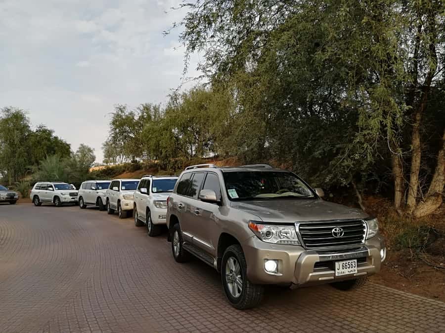 Ras Al Khaimah: Half-Day Desert Safari with Dinner - Who will enjoy this safari most?