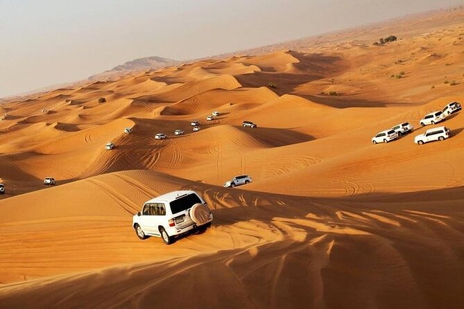 Red Dune Evening Desert Safari with BBQ Dinner - Key points before you book