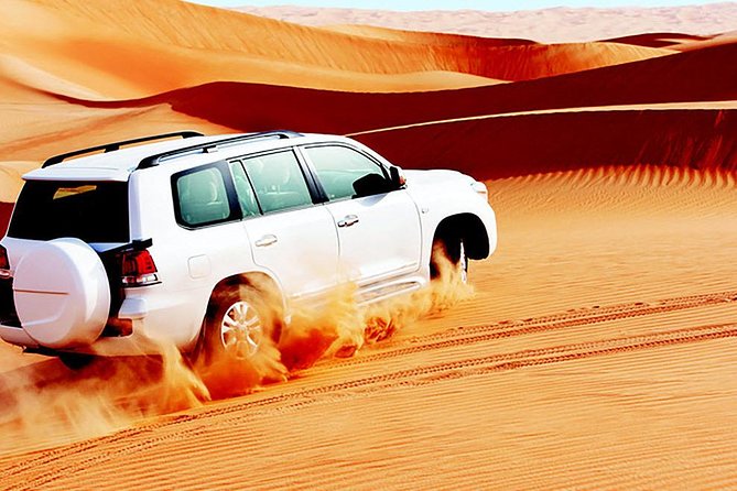 Red Dunes Safari with BBQ dinner, Falcon and Camel Ride - Hotel pickup and the ride to the desert