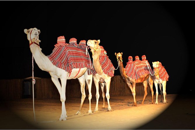 Sahara Arabian Desert Dinner Experience with Transport from Dubai - Four shows, each with a different feel
