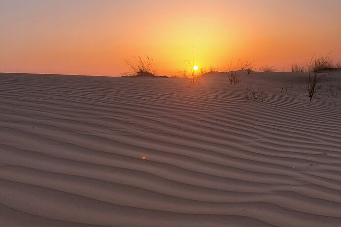 Shared Desert Safari Tour Dubai with Dinner Included - What the $47.45 price really covers