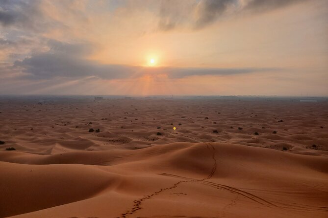 Shared Desert Safari Tour Dubai with Dinner Included - Al Badayer and the main 4x4 thrill