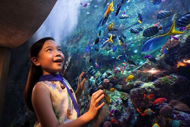 Skip The Line : Atlantis Lost Chambers Aquarium - Entering The Lost Chambers at Atlantis
