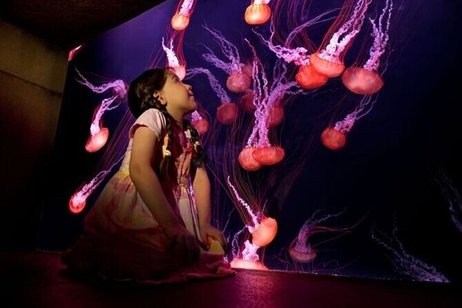 Skip The Line : Atlantis Lost Chambers Aquarium - A themed route through a lost city