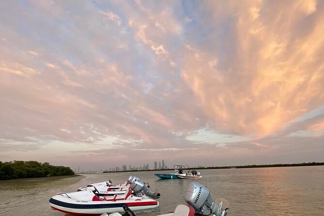 Small-Group Self-Drive Speedboat Tour in Yas Island Mangroves - Sunrise, daytime heat, or sunset?