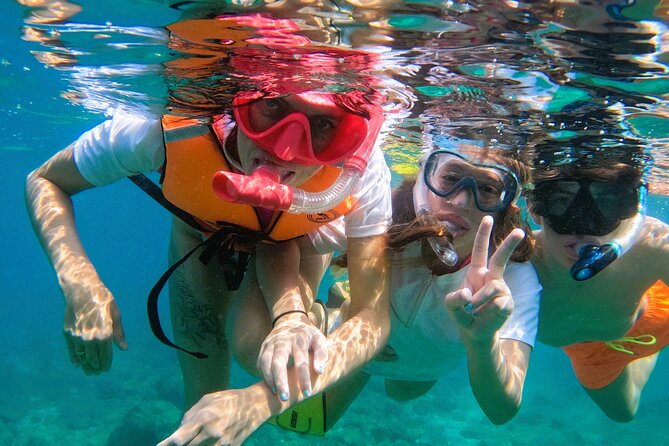 Snorkeling with turtles in Fujairah with BBQ lunch - BBQ lunch at Reef Oasis