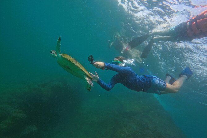 Snorkeling with turtles in Fujairah with BBQ lunch - Guides, photos, and the human side of the trip