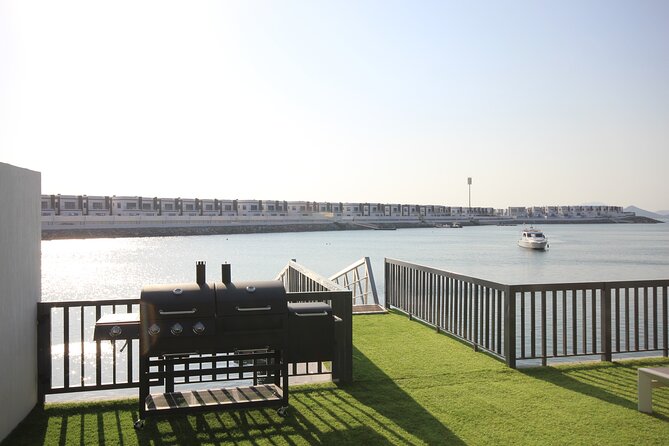 Snorkeling with turtles in Fujairah with BBQ lunch - Is $95 a fair price?