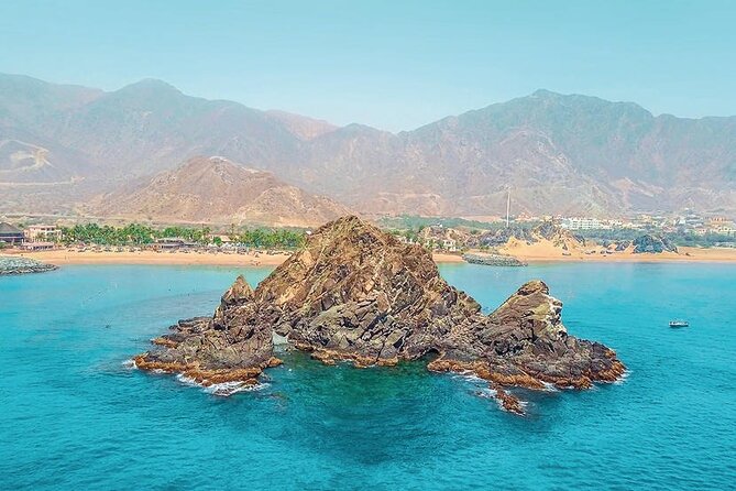 Snorkeling with turtles in Fujairah with BBQ lunch - Who will enjoy this most?