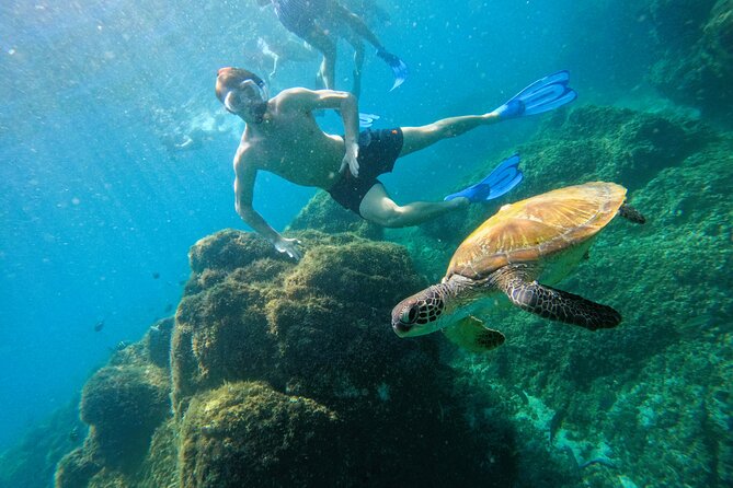 Snorkeling with turtles in Fujairah with BBQ lunch - Snoopy Island: the first look below the surface