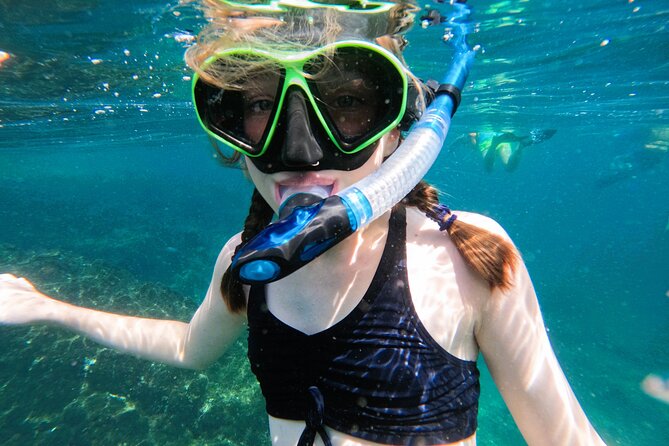 Snorkeling with turtles in Fujairah with Transfer & BBQ lunch - Looking for turtles around Fujairah’s reefs