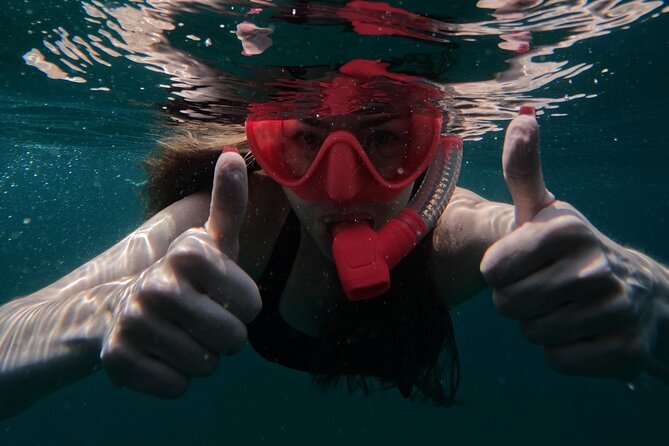 Snorkeling with turtles in Fujairah with Transfer & BBQ lunch - BBQ lunch, drinks, and the social side