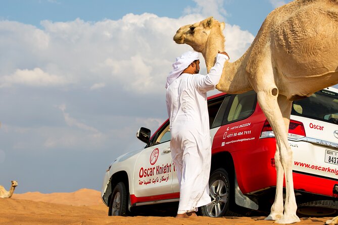 Sunset Camel Trekking with Falcon Show & VIP BBQ Dinner - Key points at a glance