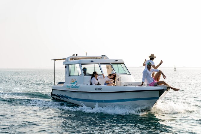 Sunset Corniche Cruise - 2 hours trip - Leaving Al Bateen Marina at 5 pm