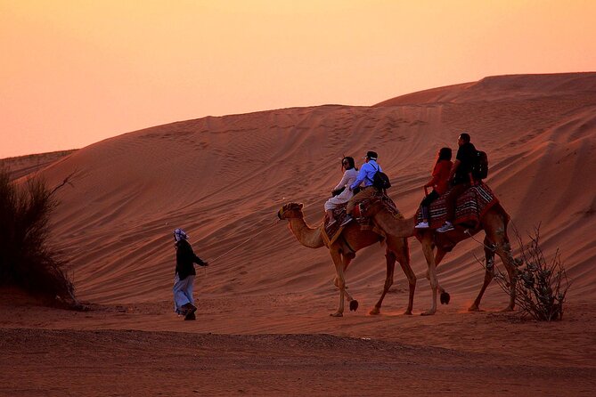 Sunset Evening Safari,Camel ride,live shows and BBQ Dinner with No Hidden Charge - Sandboarding and sunset photos at the right time