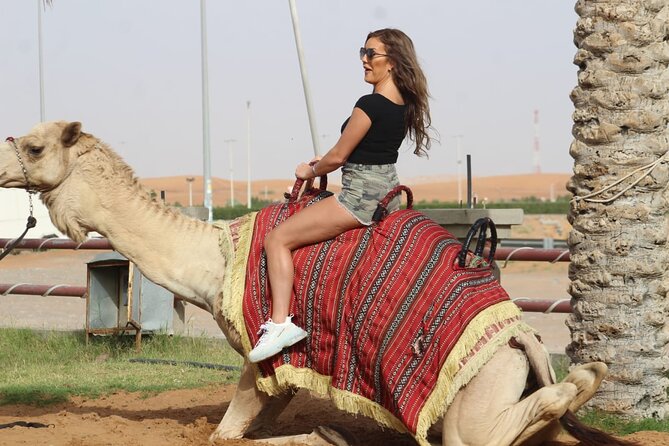 Sunset Quad/Buggy Tour & BBQ Evening - The short camel ride and what it adds