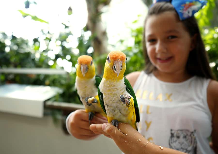 The Green Planet - Dubai's Unique Indoor Rainforest - Who will enjoy The Green Planet most?