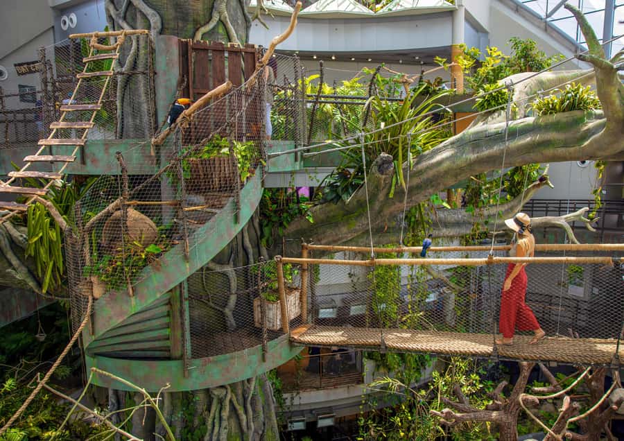 The Green Planet - Dubai's Unique Indoor Rainforest - A rainforest in the middle of Dubai