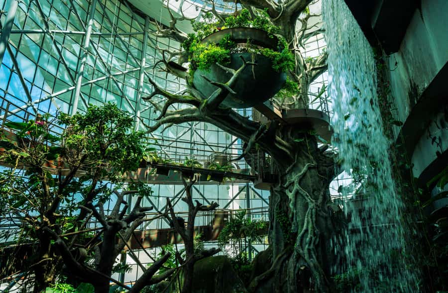 The Green Planet - Dubai's Unique Indoor Rainforest - The indoor thunderstorm