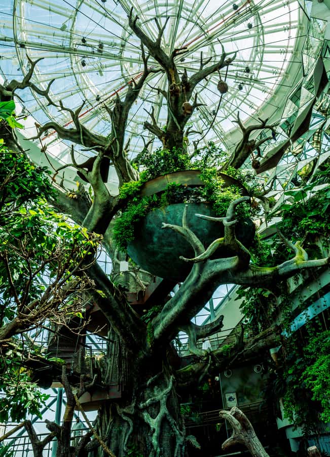 The Green Planet - Dubai's Unique Indoor Rainforest - What the $42 admission is really buying