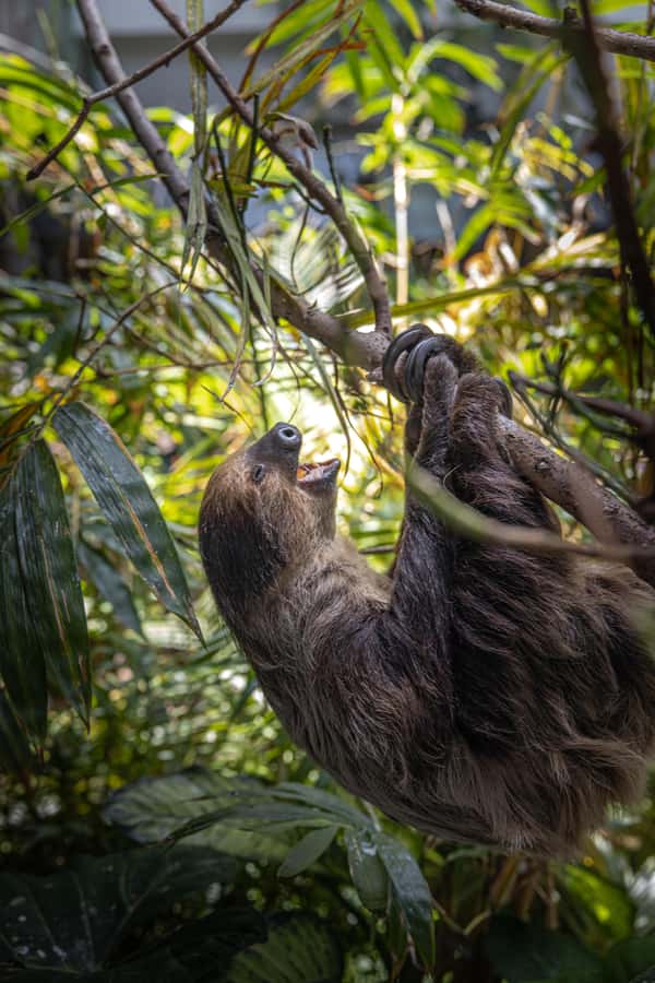 The Green Planet - Dubai's Unique Indoor Rainforest - Best time and practical planning