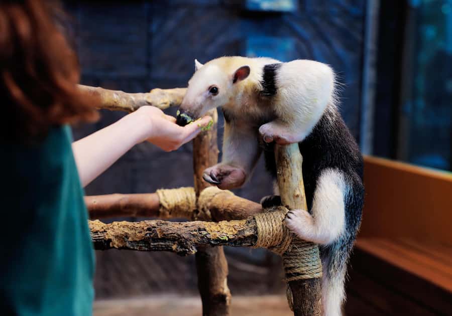 The Green Planet - Dubai's Unique Indoor Rainforest - Is it suitable for children?