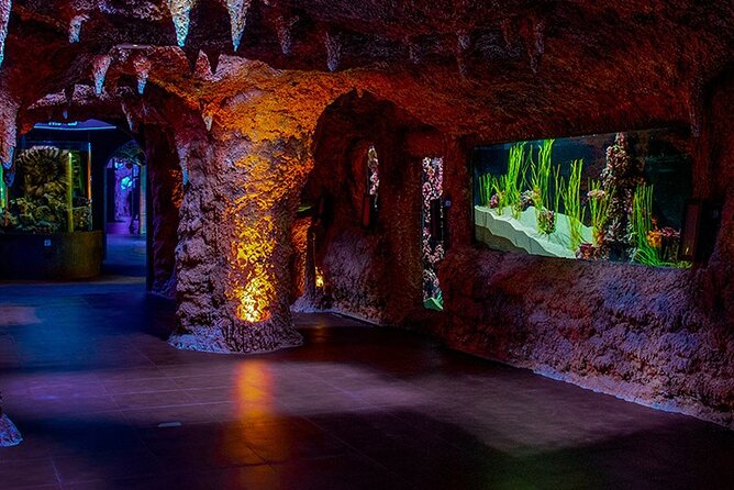 The National Aquarium Abu Dhabi Admission Tickets - Why this aquarium matters in Abu Dhabi